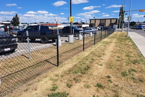 20220817_143330 5 ft Chain Link Fence in Calgary