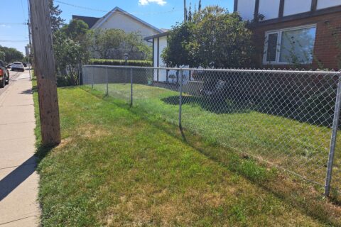 20220817_144524 5 foot fence